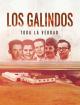 Los Galindos, toda la verdad (Miniserie de TV)