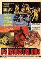 Los leones del ring  - Poster / Imagen Principal