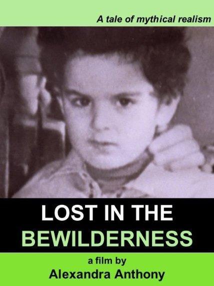 Lost in the Bewilderness 