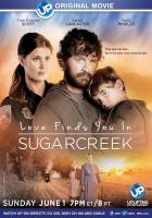 Un extraño en Sugarcreek (TV) - Posters