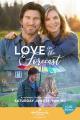 Love in the Forecast (TV)