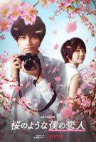 Love Like the Falling Petals  - Poster / Main Image