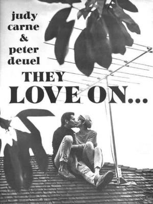 Love on a Rooftop (TV Series)