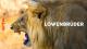 La hermandad de los leones (Miniserie de TV)