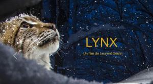 Lynx 