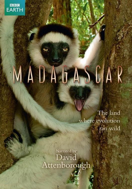 Madagascar (Miniserie de TV) - Poster / Imagen Principal