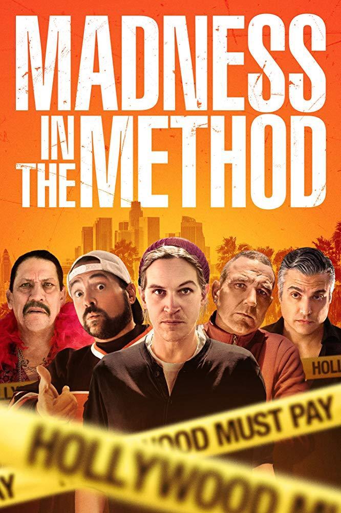 Madness in the Method  - Poster / Main Image