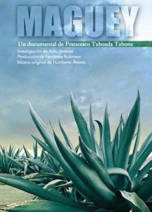 Maguey 