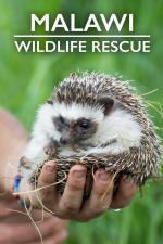 Malawi Wildlife Rescue (TV Series)
