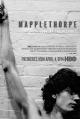 Mapplethorpe: Look at the Pictures 