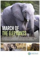 March of the Elephants (TV) - Poster / Main Image