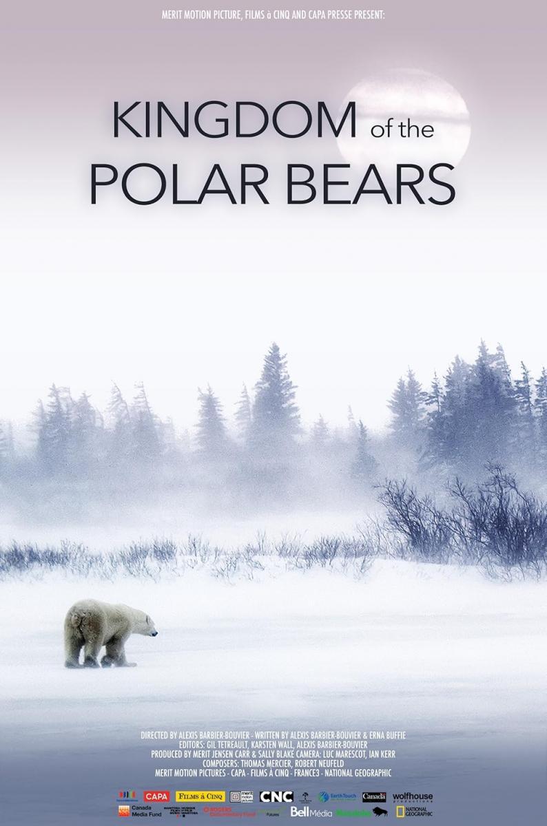 March of the Polar Bears (2021) - FilmAffinity