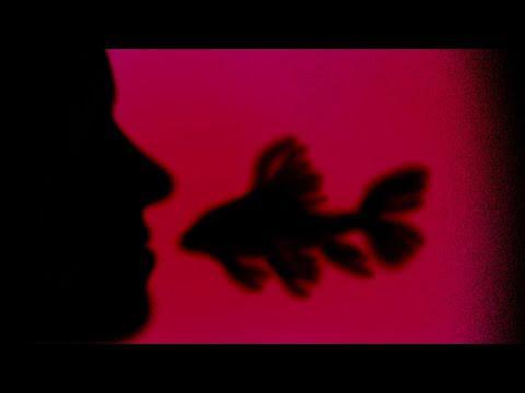 María Morfeo: Fish (Music Video)