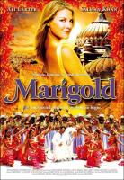 Marigold  - Poster / Main Image