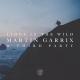 Martin Garrix & Third Party: Lions in the Wild (Music Video)
