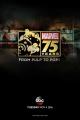 Marvel 75 Years: From Pulp to Pop! (TV)