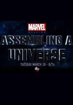 Marvel: Construyendo un universo (TV)