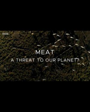Carne: ¿una amenaza para el planeta? 