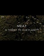 Meat: A Threat to Our Planet 