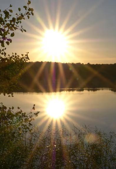 La fauna y la flora de los lagos secretos 