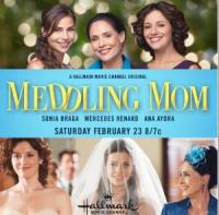 Meddling Mom (TV) - Poster / Imagen Principal