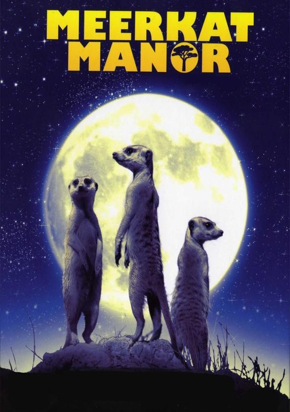 El reino del suricato (Serie de TV) - Poster / Imagen Principal
