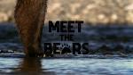 Meet the Bears 