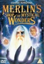 Merlin's Shop of Mystical Wonders 