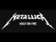 Metallica: Halo on Fire (Vídeo musical)