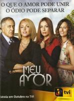 Meu Amor (Serie de TV) - Poster / Imagen Principal
