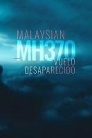 Malaysia MH370: Vuelo desaparecido (Miniserie de TV) - Posters