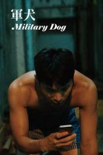 Military Dog (C)