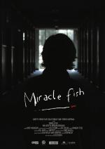 Miracle Fish (S)