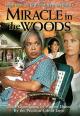 Miracle in the Woods (TV) (TV)