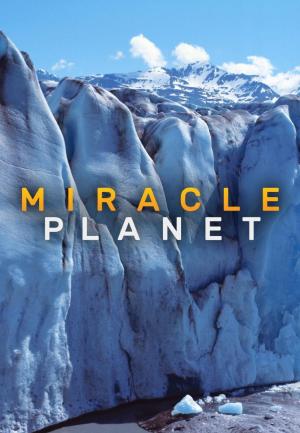 Miracle Planet (Serie de TV)