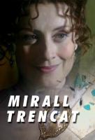 Mirall trencat (TV Series) - Poster / Main Image