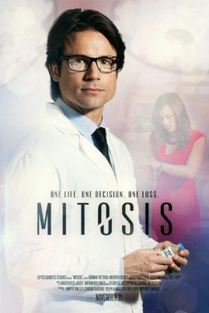 Mitosis (C)
