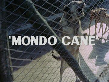 Mondo Cane No. 1  - Stills
