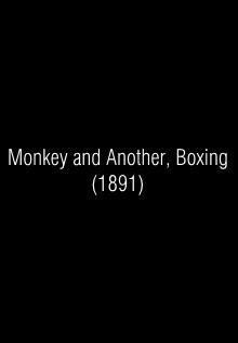 Monkey and Another, Boxing (C)