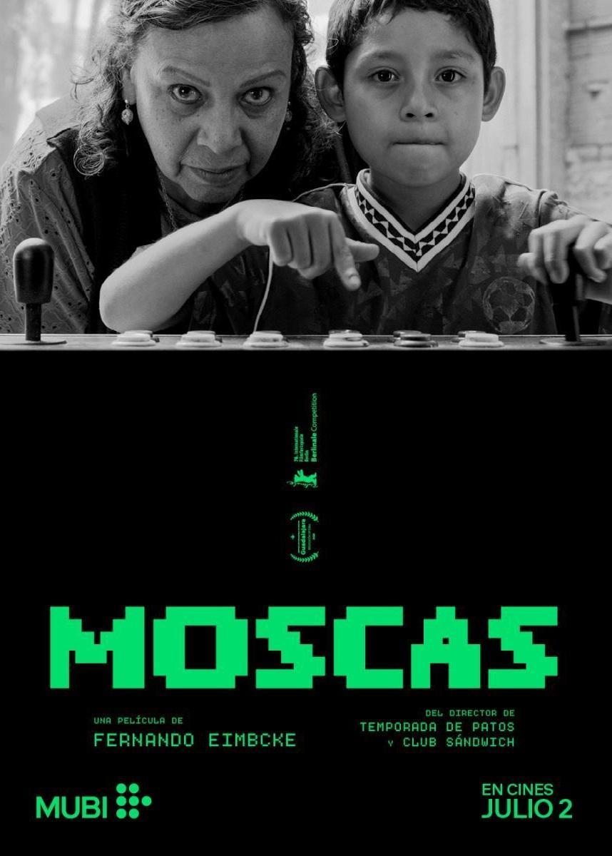 Moscas 