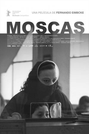 Moscas 