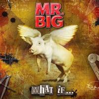 Mr. Big: Undertow (Music Video) - 