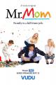 Mr. Mom (TV Series)
