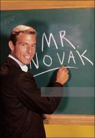 Mr. Novak (TV Series) - Poster / Main Image