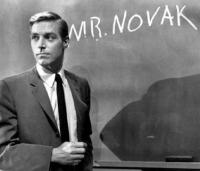 Mr. Novak (Serie de TV) - Posters