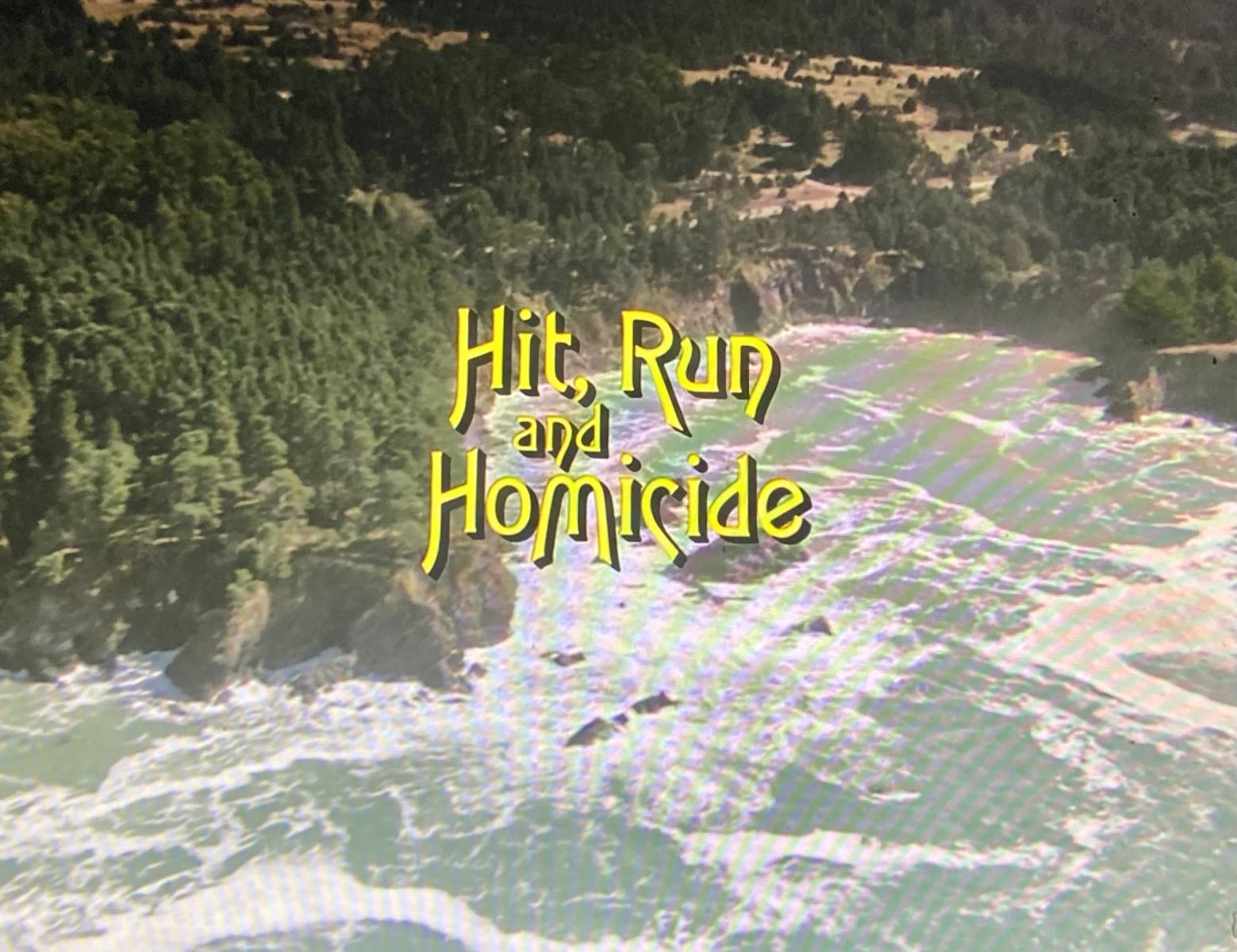 Murder, She Wrote: Hit, Run and Homicide (TV)