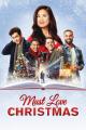 Must Love Christmas (TV)