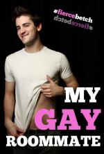 My Gay Roommate (Serie de TV)