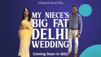 My Niece's Big Fat Delhi Wedding  - Poster / Main Image