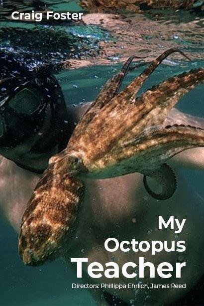 my octopus teacher 902842067 large - Lo que el pulpo me enseñó VOSE